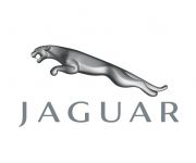 Galerías fotográficas de las gamas de Jaguar