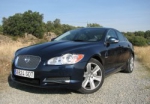 XF