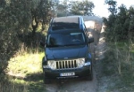 Cherokee