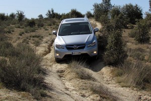 XV