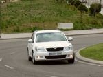 octavia combi greenline 