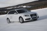 Audi A3 e-gas