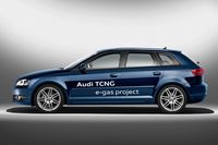 Audi A3 e-gas