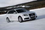 Audi, proyecto e-gas: A3 TCNG, desde las energías 100% renovables
