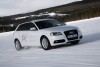 Audi, proyecto e-gas: A3 TCNG, desde las energías 100% renovables