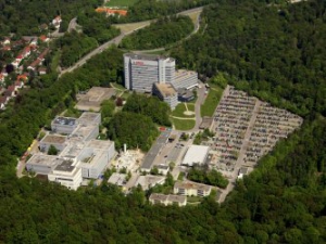 Bosch espera una importante recuperación después del año de la crisis 2009