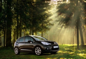 Doce mil metros cuadrados de bosque Citroën