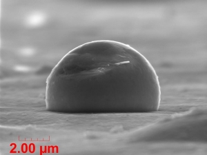 Ford: las piezas a vista de microscopio