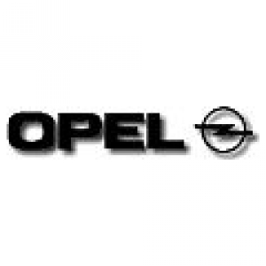 Opel promueve junto a IBIL la recarga de coches eléctricos en las casas particulares
