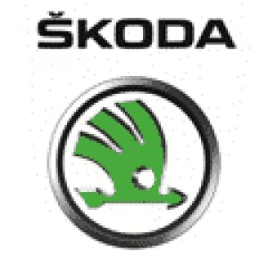 Skoda ofrece un chequeo gratuito del aire acondicionado en cualquier marca de coches