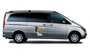 Mercedes Viano ICE AGE