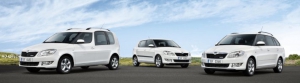 Skoda Varios