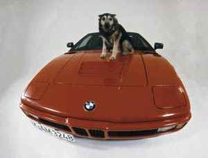 Treinta años de BMW M1