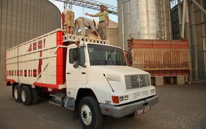 «Trucks: Estrellas en la carretera», serie de televisión producida por Mercedes-Benz España