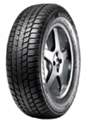 Un neumático de invierno de Bridgestone recomendado por el ADAC alemán