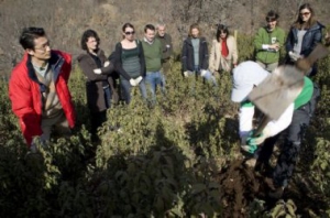 WWF y Toyota Prius concluyen con éxito su proyecto de mejora forestal de la Sierra del Rincón